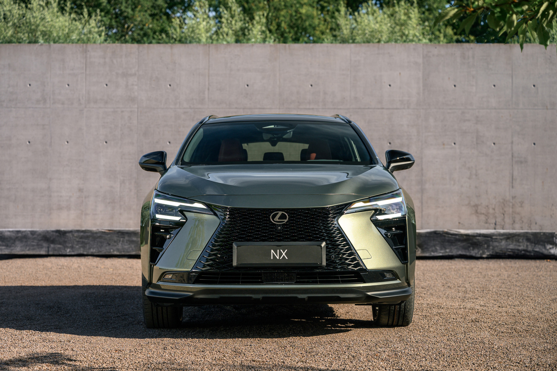 1920_nx350h_luxury_statics_009